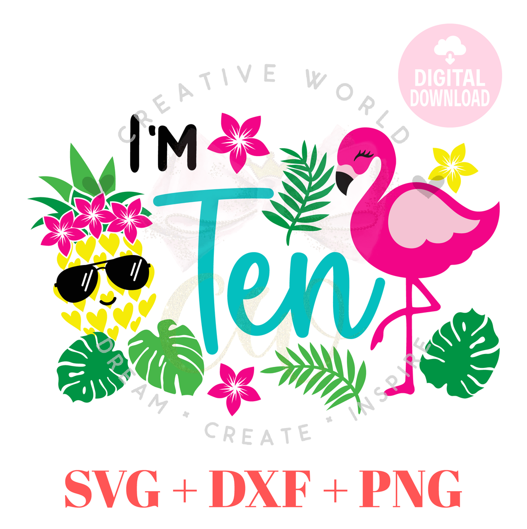 Ten Birthday | Flamingo Ten Birthday svg | Pineapple Flamingo Summer Birthday svg