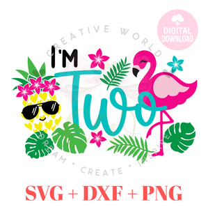 Two Birthday | Flamingo Two Birthday svg | Pineapple Flamingo Summer Birthday svg