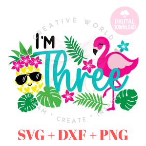 Three Birthday | Flamingo Three Birthday svg | Pineapple Flamingo Summer Birthday svg