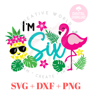 Six Birthday | Flamingo Six Birthday svg | Pineapple Flamingo Summer Birthday svg